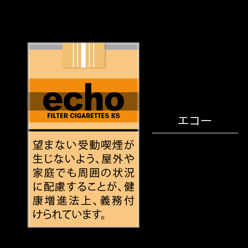 エコーのイメージ